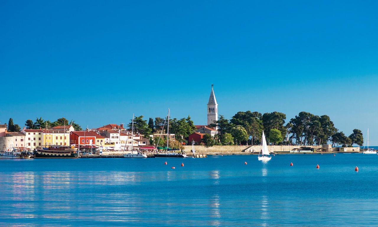 Apt Gioan Novigrad, 500M To Sea, Private Heated Jacuzzi, Bbq, Private Parking Новиград Экстерьер фото